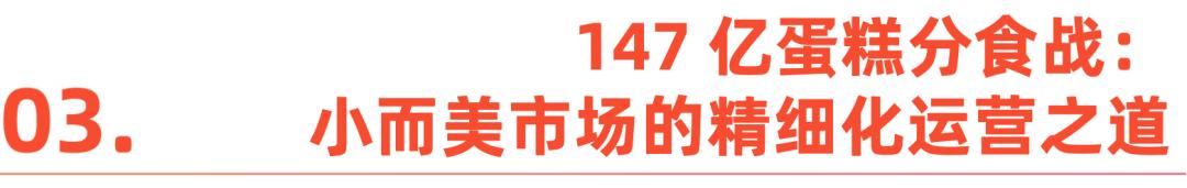 美元市场里的中国玩家中亚电商热：147亿(图9)