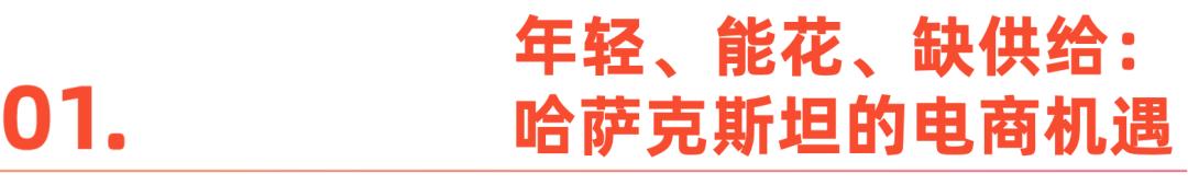 美元市场里的中国玩家中亚电商热：147亿(图10)