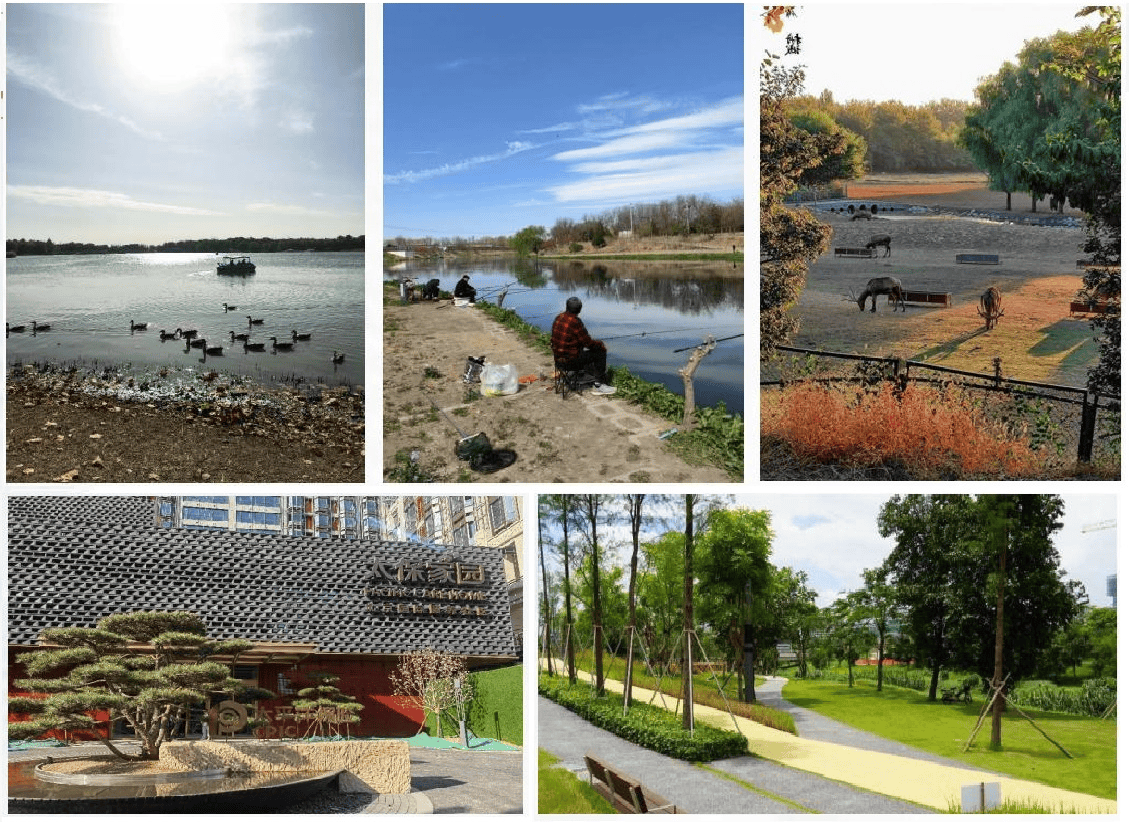 福颐养护理院上榜退休老人安心静养的实力之选聚焦2026北京高端养老院长友养老院+幸(图6)